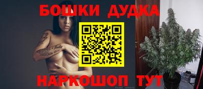 Альфа ПВП Моздок